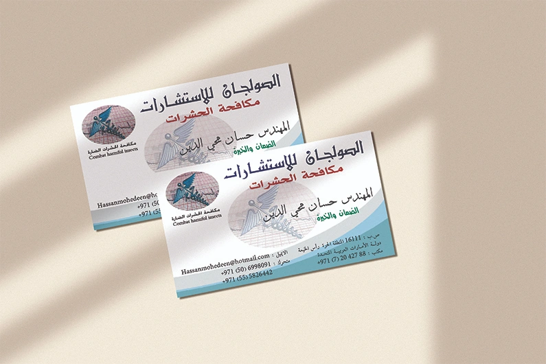 صورة المشروع